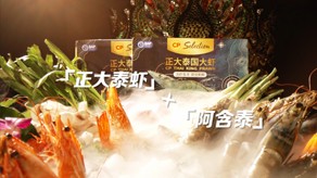 正大X阿含泰食品宣傳片_北京凱瑪-宣傳片拍攝制作公司-專(zhuān)業(yè)宣傳片拍攝,企業(yè)宣傳片,宣傳片制作